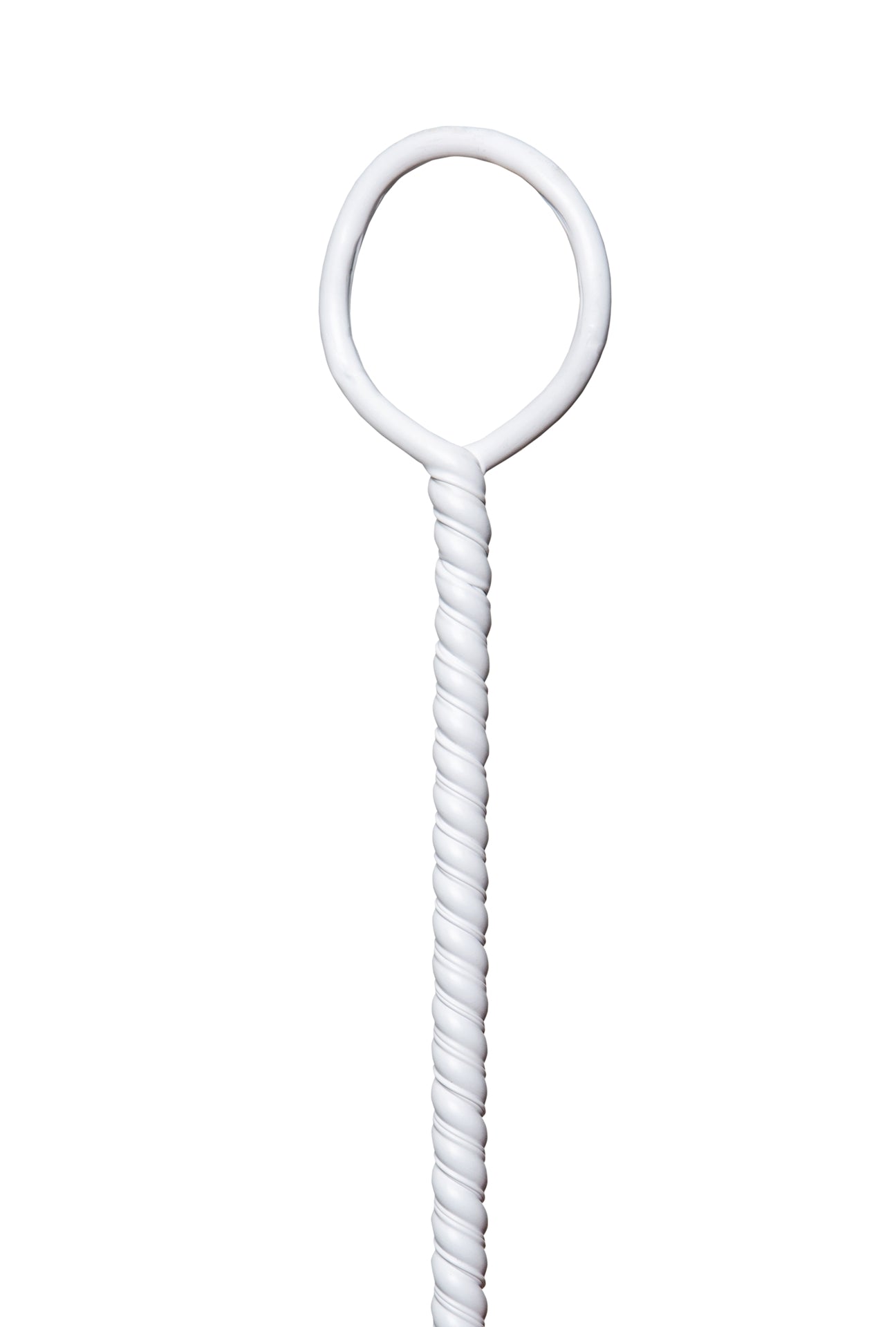 Angled Carboy Brush
