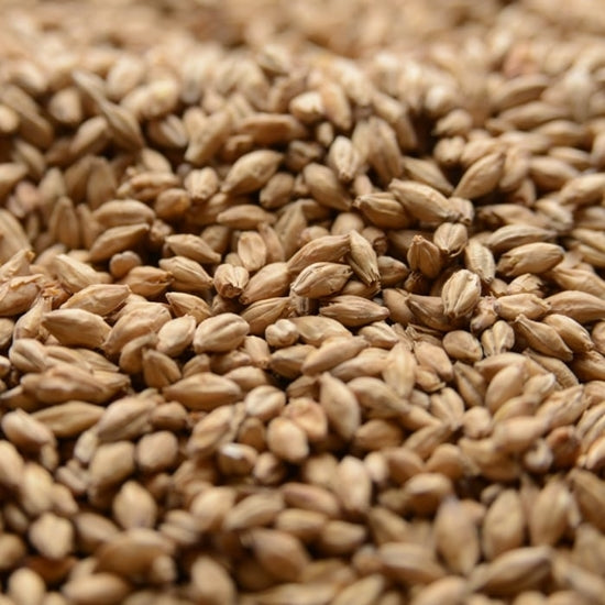 Malting Company of Ireland Irish Stout Malt