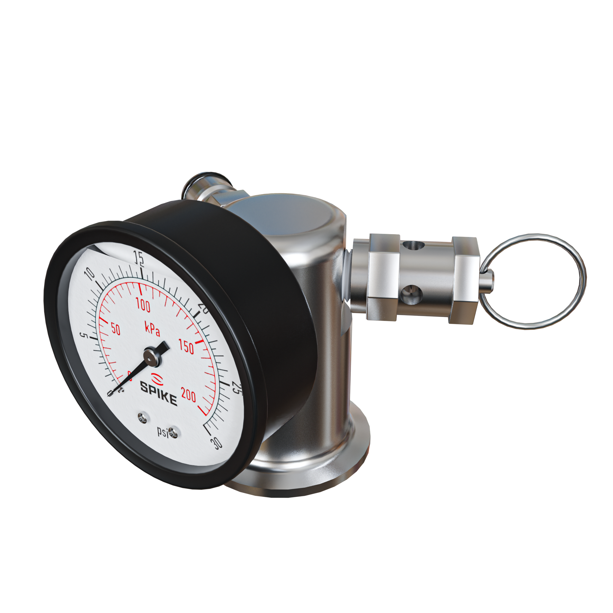 Gas Manifold